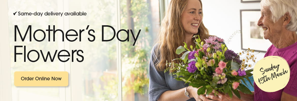 Seasonal bouquets from Emms Stems in Southrepps offering same-day delivery