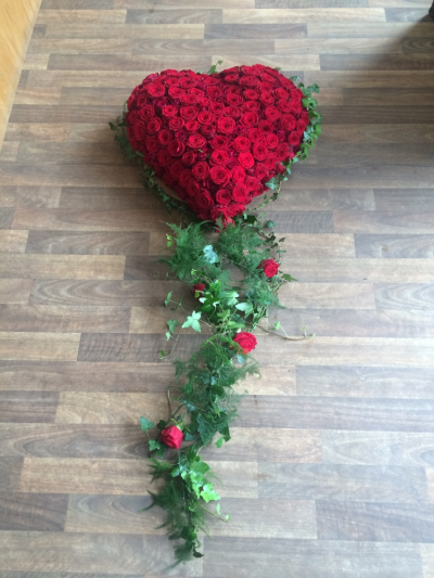 Trailing Heart - This Luxury Heart is made with Scented Red Roses with beautiful Trailing Ferns and Ivy with Roses Trailing through to the base of the Coffin.