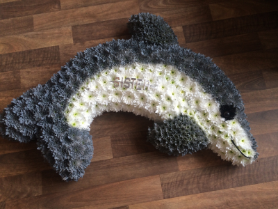 Dolphin Tribute - Bespoke Dolphin Funeral Tribute.