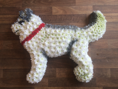 Dog Tribute - Bespoke Funeral Tribute of a Husky Dog